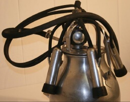 /medias/customer_2/OT/OT-2011-28-2_jpg_/0_0.jpg